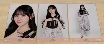 노기자카46 브로마이드 카와사키 벚꽃 Same numbers 3종 컴프