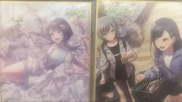 프로세카 시라이시 안 색지 33a