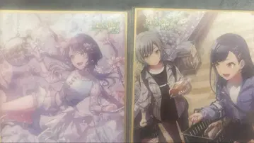 프로세카 시로이시 안 색지 33a