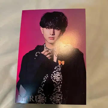 초특급 하루 NINE LIVES 혜택회 전달회 엽서