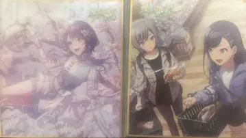 프로세카 시로이시 안 색지 33a