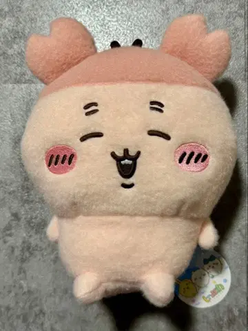 4 카니 헌책방 시이푸와 봉제 인형 치이카와 (먼작귀)