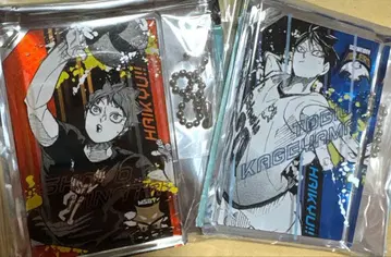 하이큐 카라스노