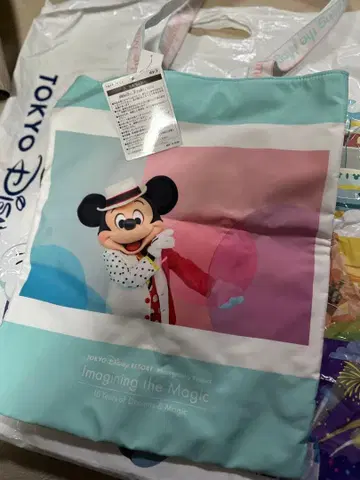 디즈니 이매지닝 백