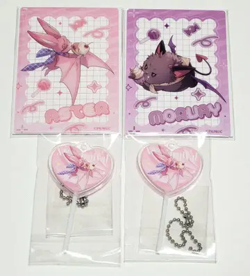 NU 카니발 카니 에스타 모르피스 세트