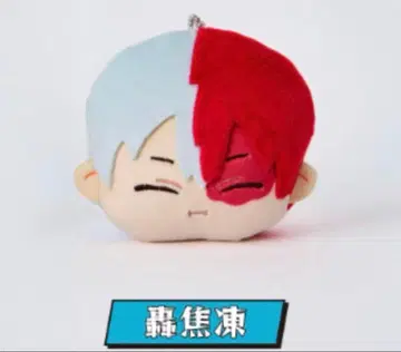 히로아카  토도로키 쇼토