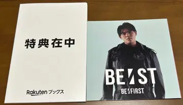 익일 배송 BE:ST 혜택 레오 아코디언 포토 카드