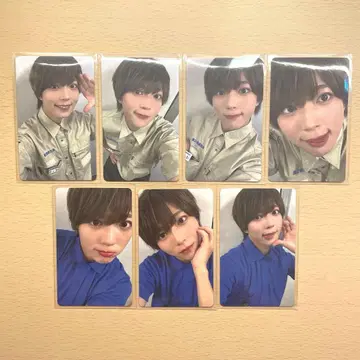 팬더 드래곤 파라곤 팻치 트레이딩 카드