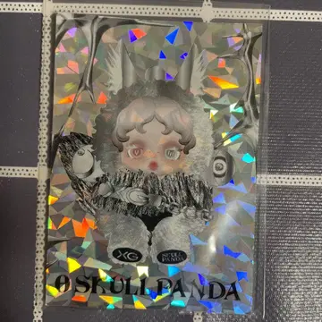 SKULLPANDA x XG 특전 카드