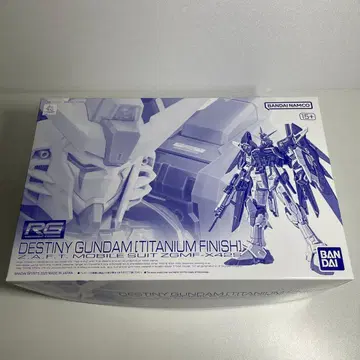 RG 데스티니 건담 티타늄 피니쉬 SEED DESTINY