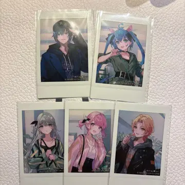 원더랜즈 x 쇼타임 ZOZOTOWN 폴라로이드