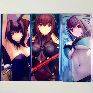 FGO 최종 재림전 편성 화면풍 카드 스카사하 스카디 3점