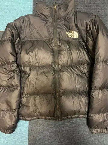 THE NORTH FACE 다운 자켓 에코 눕시