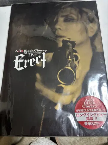 Acid Black Cherry Erect 투어 팜플렛