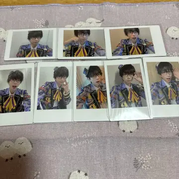 팬더드래곤 나루키 하피카