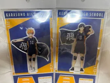 하이큐 플라자 도전하는 자들 히나타 카게야마