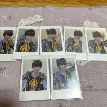 팬더드래곤 나루키 하피카