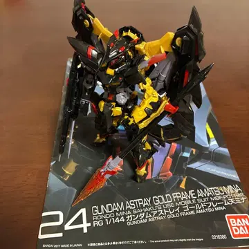 건담 프라모델 RG 건담 아스트레이 골드 프레임 천미나