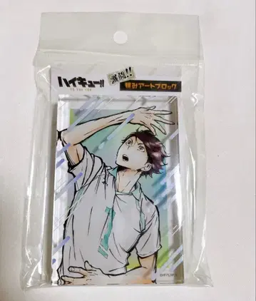 [레어] 오이카와 토오루 하이큐 격투 쌓기 아트 아크릴 블록