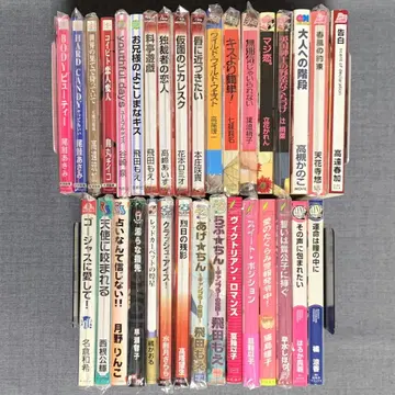 BL 소설 노벨스 묶음 판매 33권