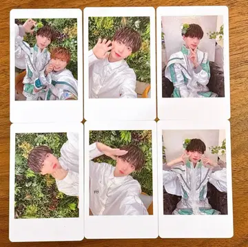 말랑말랑 토라 히비키 하피카