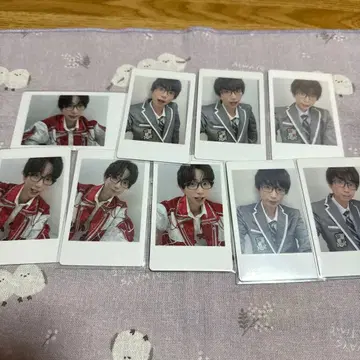 팬더드래곤 나루키 하피카