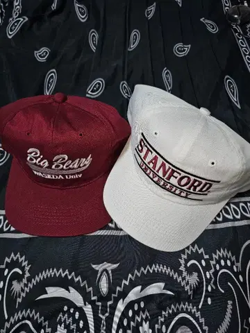 STANFORD UNIV. WASEDA UNIVERSITY 캡