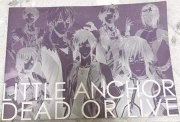 리틀 앵커 이벤트 팜플렛