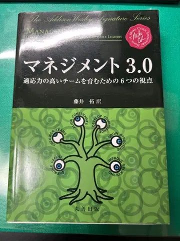 매니지먼트 3.0: 적응력 높은 팀을 육성하기 위한 6가지 관점