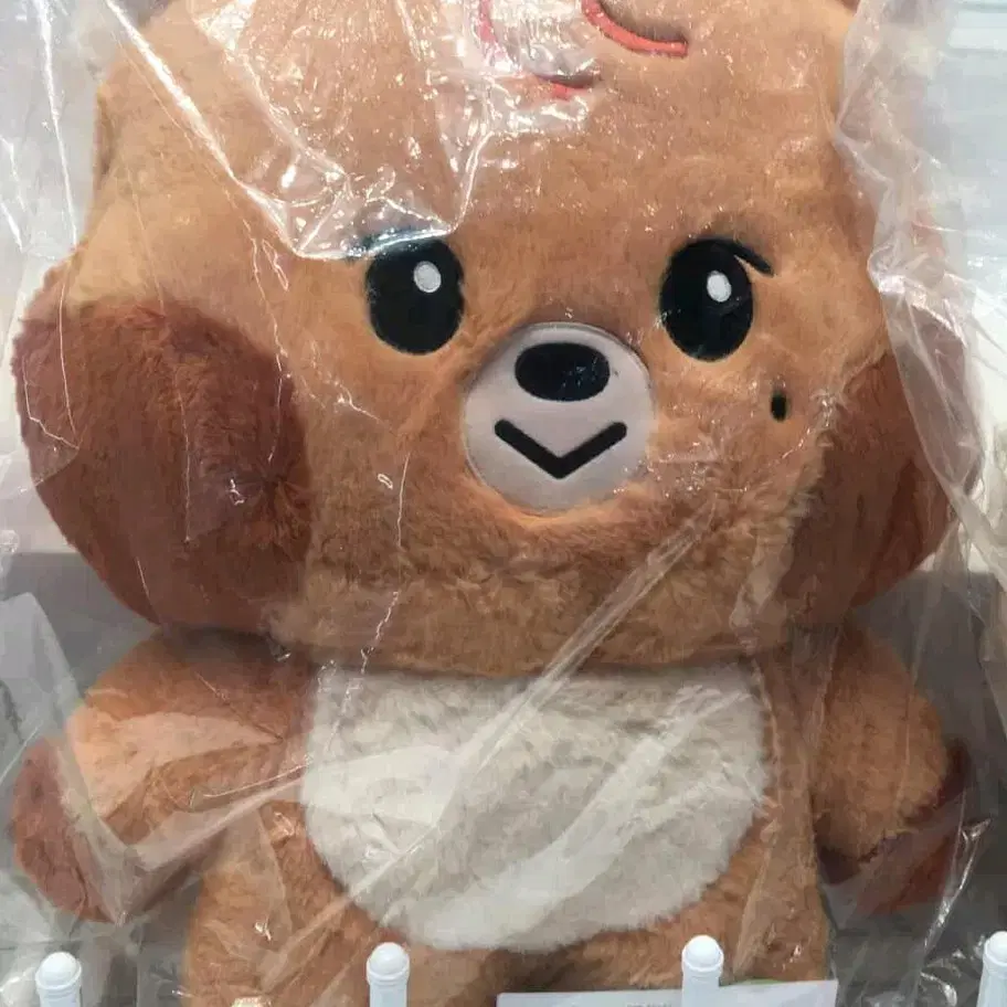 Qoo10] SMエンターテインメント [公式] NCT HAECHAN THE : KPOP NCT