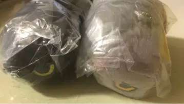 따르지 않는 고양이 봉제 인형 본가 고양이 생선 가게 고양이