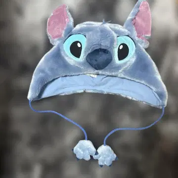 디즈니 팬캡 스티치