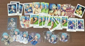 앙스타 파샤츠 꽃 동반 밤 중국 진장 창