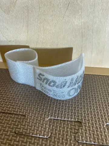 Snow Man 2025 ON 낙하물