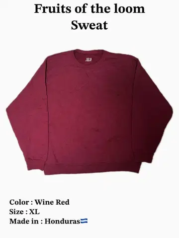 프룻 오브 더 룸 맨투맨 XL