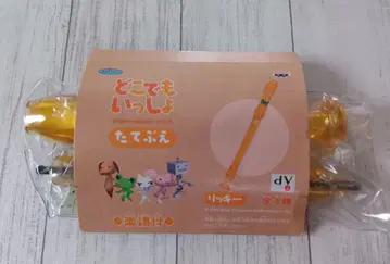 도코데모 잇쇼 리키 다테부에 레어 2001년 당시물 레트로