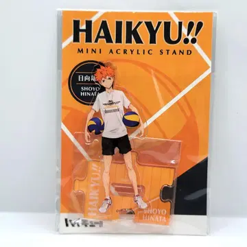 하이큐!! 미니 아크릴 스탠드 히나타 쇼요