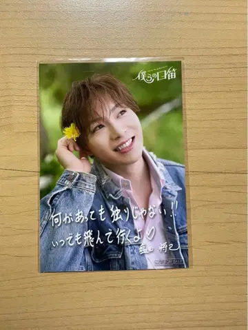 우리들의 휘파람 발매 이벤트 한정판 사진 SHOW-WA 시오타 마사키