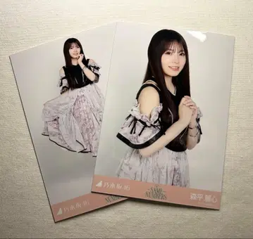 [세미컴프] 모리히라 레이신 브로마이드 Same numbers