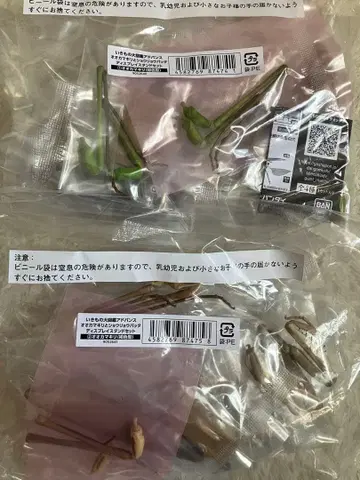 생물대도감 어드밴스 오오카마키리 2종 온라인판