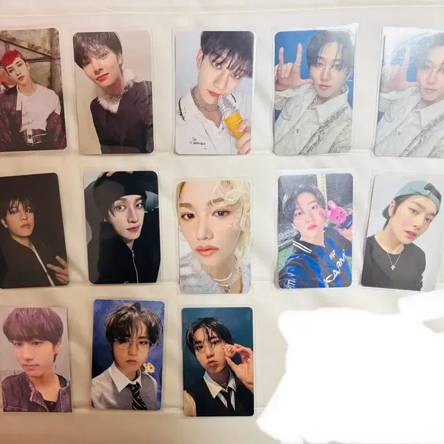 스키즈 포카 테디베어 스키주두잇주토피아분철 팝업 포카 인형 응원봉커버망토