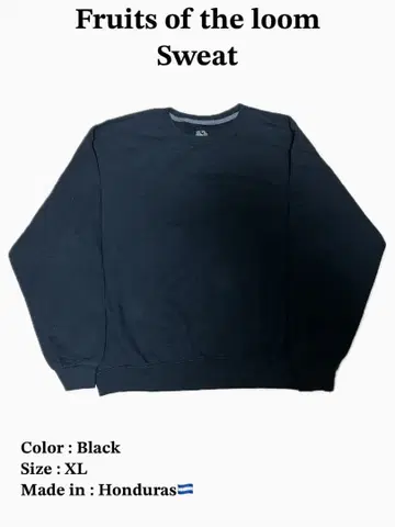 프룻 오브 더 룸 맨투맨 XL