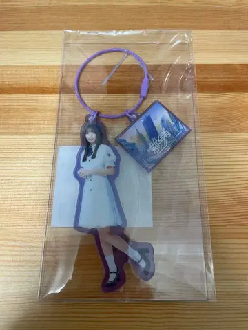 신참자 노기자카46 우미베 슈리 아크릴 참