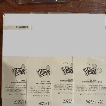 디즈니 해피 엔트리 통행증