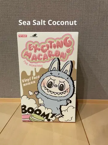 러브브 익사이팅 마카롱 씨 솔트 코코넛