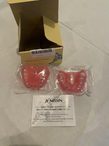 미사용 NISSIN DENTAL MODEL 턱 모형 잇몸