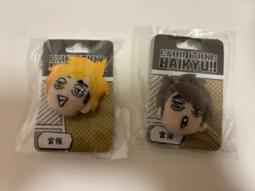 하이큐!! 페이스 배지