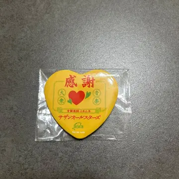 서던 올스타즈 특전 캔뱃지