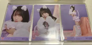 노구치 이오리 고양이 의상 브로마이드