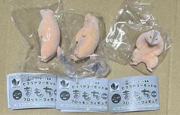 마모트의 마모치